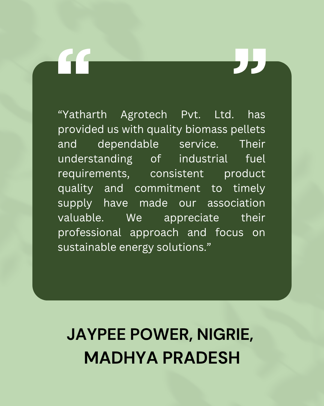 Green Modern Customer Testimonials Instagram Post (3)